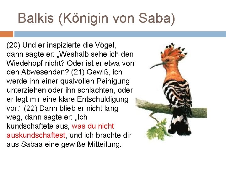 Balkis (Königin von Saba) (20) Und er inspizierte die Vögel, dann sagte er: „Weshalb