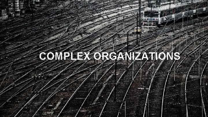 COMPLEX ORGANIZATIONS 