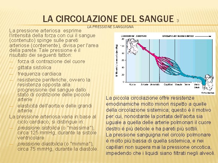 LA CIRCOLAZIONE DEL SANGUE 3 LA PRESSIONE SANGUIGNA La pressione arteriosa esprime l'intensità della
