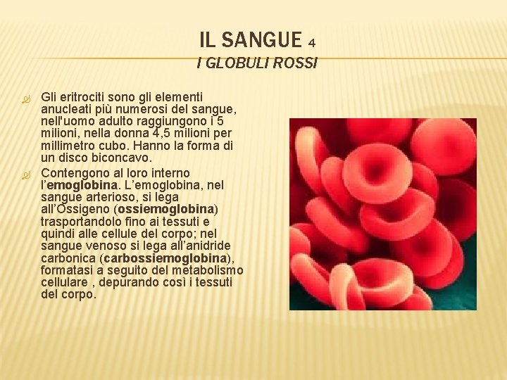 IL SANGUE 4 I GLOBULI ROSSI Gli eritrociti sono gli elementi anucleati più numerosi