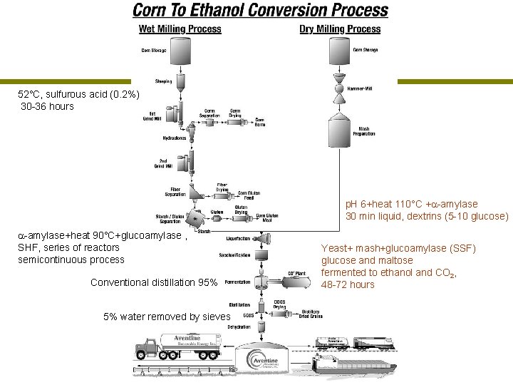 52°C, sulfurous acid (0. 2%) 30 -36 hours p. H 6+heat 110°C + -amylase