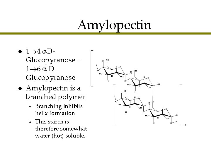 Amylopectin l l 1 4 DGlucopyranose + 1 6 D Glucopyranose Amylopectin is a