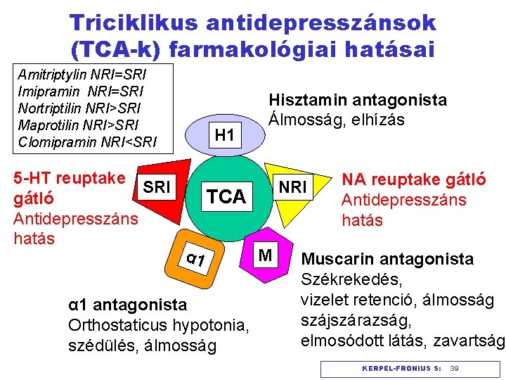 Triciklikus antidepresszánsok (TCA-k) farmakológiai hatásai Amitriptylin NRI=SRI Imipramin NRI=SRI Nortriptilin NRI>SRI Maprotilin NRI>SRI Clomipramin