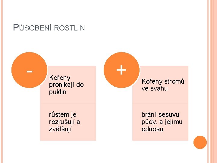 PŮSOBENÍ ROSTLIN - Kořeny pronikají do puklin růstem je rozrušují a zvětšují + Kořeny