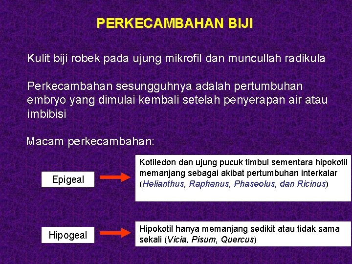 PERKECAMBAHAN BIJI Kulit biji robek pada ujung mikrofil dan muncullah radikula Perkecambahan sesungguhnya adalah