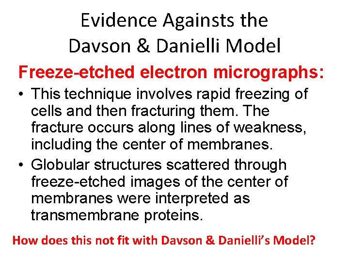 Evidence Againsts the Davson & Danielli Model Freeze-etched electron micrographs: • This technique involves