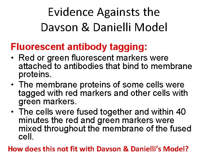 Evidence Againsts the Davson & Danielli Model Fluorescent antibody tagging: • Red or green