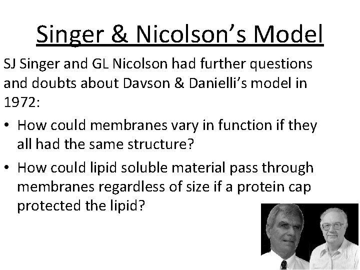 Singer & Nicolson’s Model SJ Singer and GL Nicolson had further questions and doubts