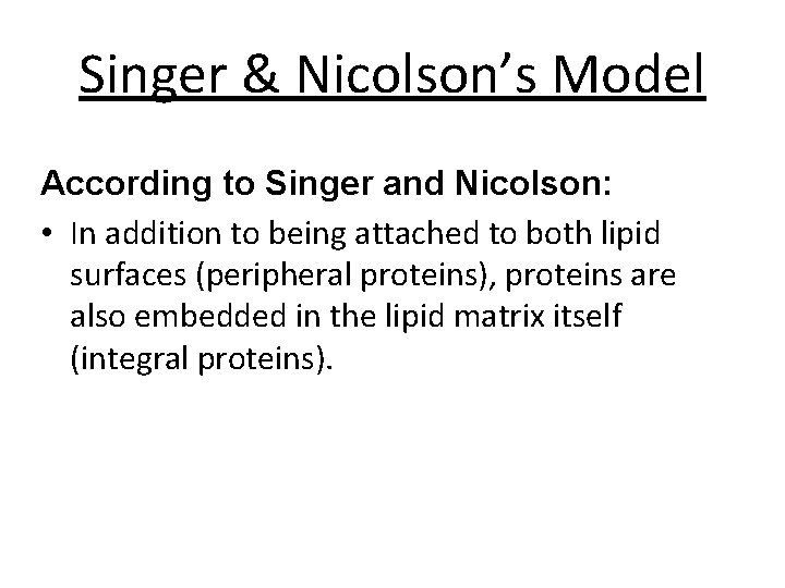 Singer & Nicolson’s Model According to Singer and Nicolson: • In addition to being