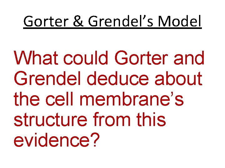 Gorter & Grendel’s Model What could Gorter and Grendel deduce about the cell membrane’s