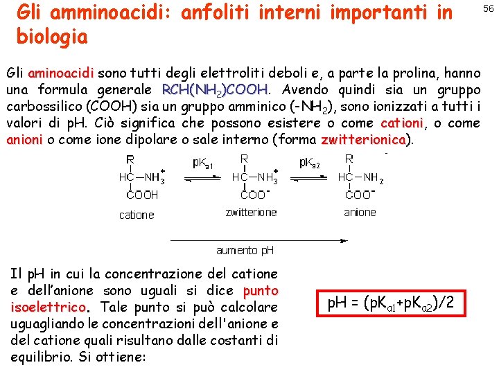 Gli amminoacidi: anfoliti interni importanti in biologia Gli aminoacidi sono tutti degli elettroliti deboli