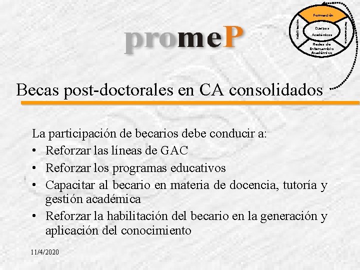 Cuerpos Académicos Redes de Intercambio Académico Becas post-doctorales en CA consolidados La participación de