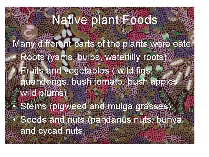 Native plant Foods Many different parts of the plants were eaten • Roots (yams,