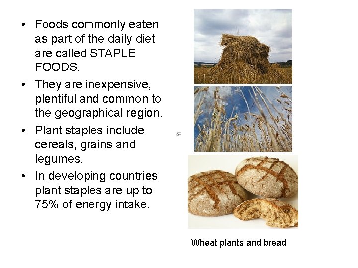  • Foods commonly eaten as part of the daily diet are called STAPLE