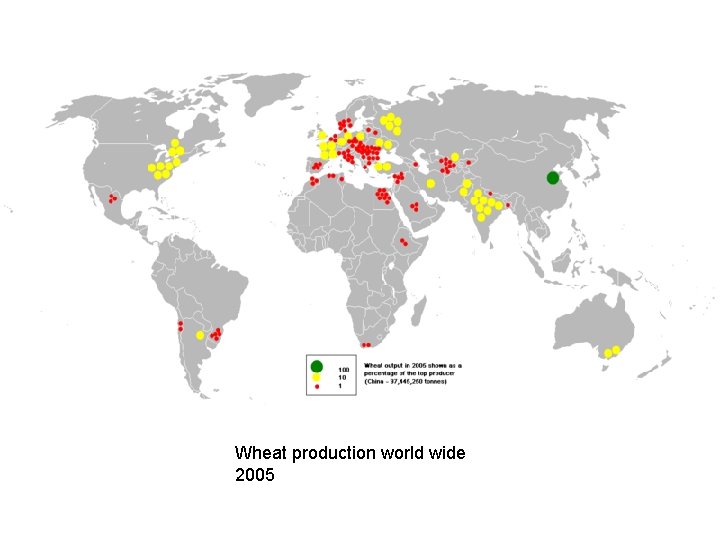 Wheat production world wide 2005 