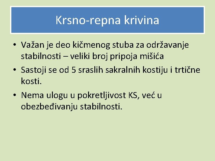 Krsno-repna krivina • Važan je deo kičmenog stuba za održavanje stabilnosti – veliki broj