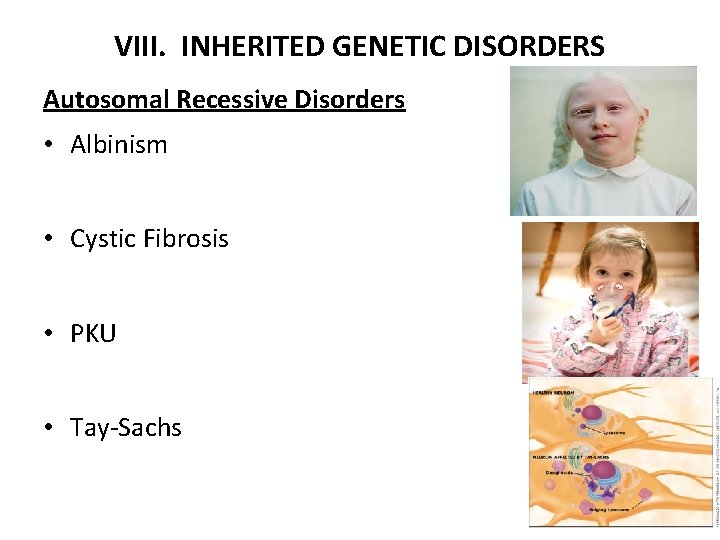 VIII. INHERITED GENETIC DISORDERS Autosomal Recessive Disorders • Albinism • Cystic Fibrosis • PKU