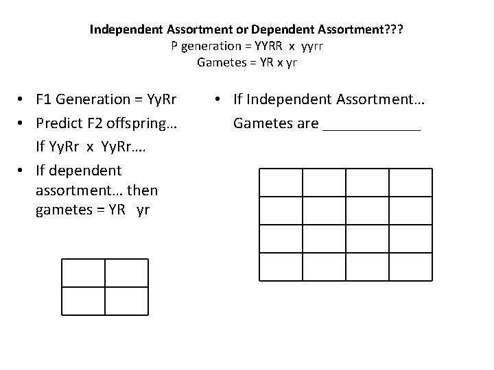 Independent Assortment or Dependent Assortment? ? ? P generation = YYRR x yyrr Gametes