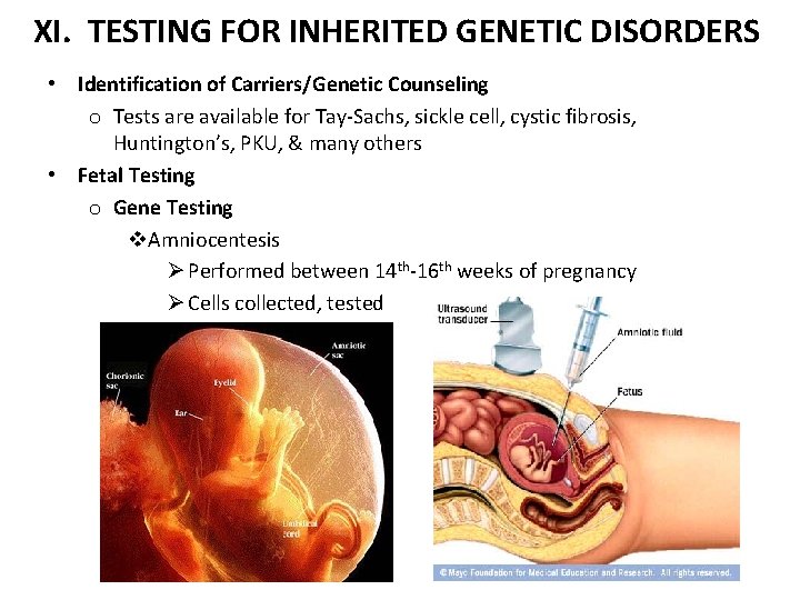 XI. TESTING FOR INHERITED GENETIC DISORDERS • Identification of Carriers/Genetic Counseling o Tests are