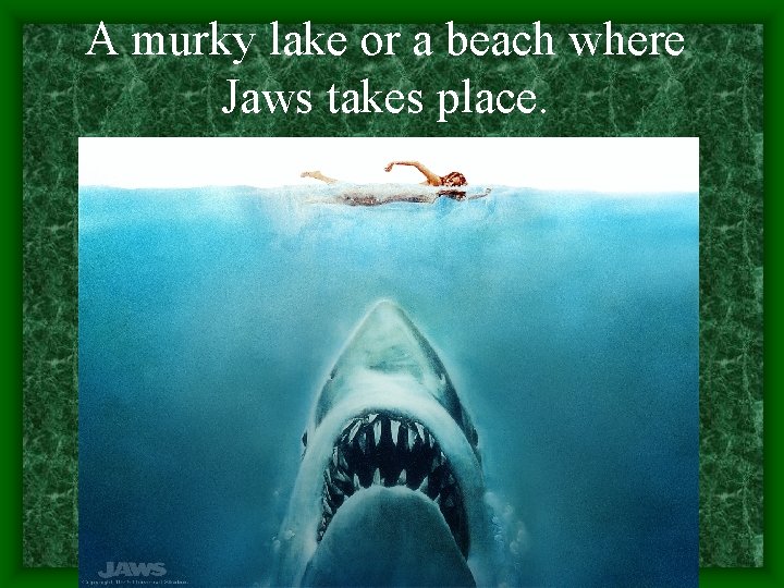 A murky lake or a beach where Jaws takes place. 