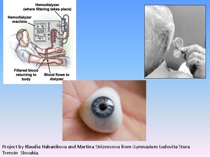 Project by Klaudia Habanikova and Martina Strizencova from Gymnazium Ludovita Stura Trencin Slovakia. 