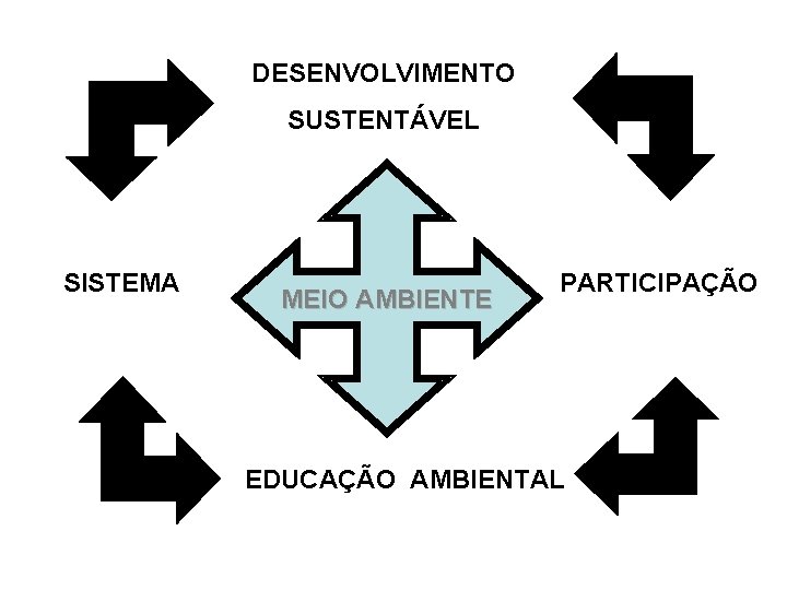 DESENVOLVIMENTO SUSTENTÁVEL SISTEMA MEIO AMBIENTE PARTICIPAÇÃO EDUCAÇÃO AMBIENTAL 