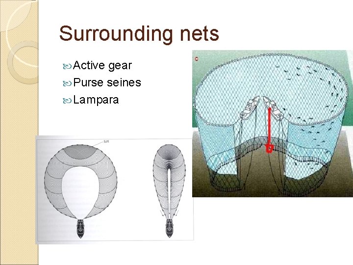 Surrounding nets Active gear Purse seines Lampara Surrounding nets Active gear Purse seines Lampara