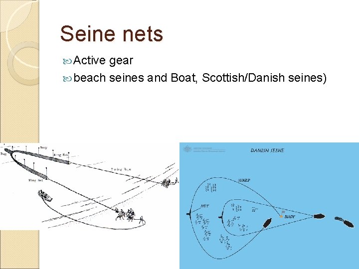 Seine nets Active gear beach seines and Boat, Scottish/Danish seines) Seine nets Active gear beach seines and Boat, Scottish/Danish seines)