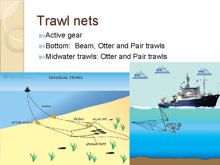 Trawl nets Active gear Bottom: Beam, Otter and Pair trawls Midwater trawls: Otter and Trawl nets Active gear Bottom: Beam, Otter and Pair trawls Midwater trawls: Otter and