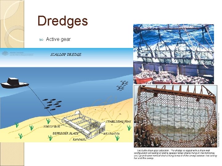 Dredges Active gear Dredges Active gear