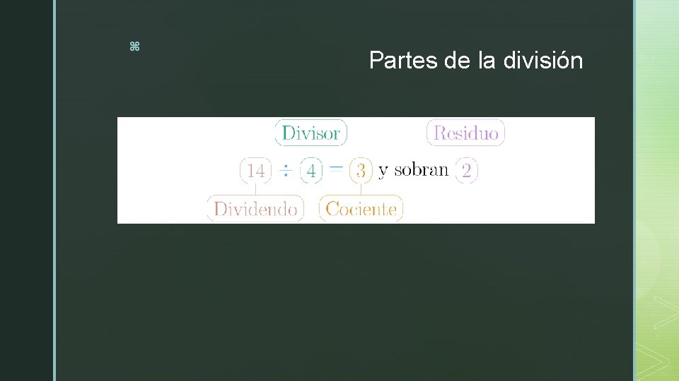 z Partes de la división 
