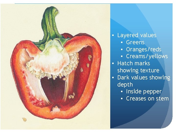 • Layered values • Greens • Oranges/reds • Creams/yellows • Hatch marks showing • Layered values • Greens • Oranges/reds • Creams/yellows • Hatch marks showing