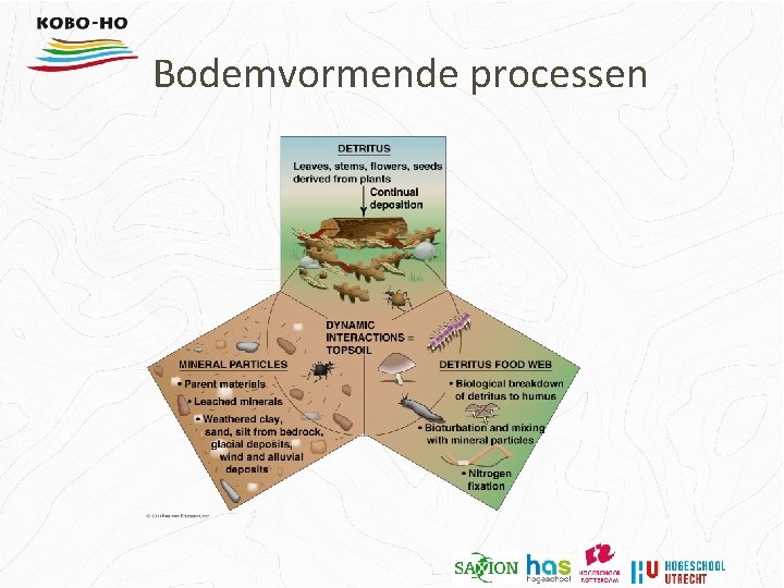 Bodemvormende processen 