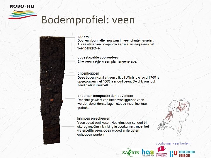 Bodemprofiel: veen 