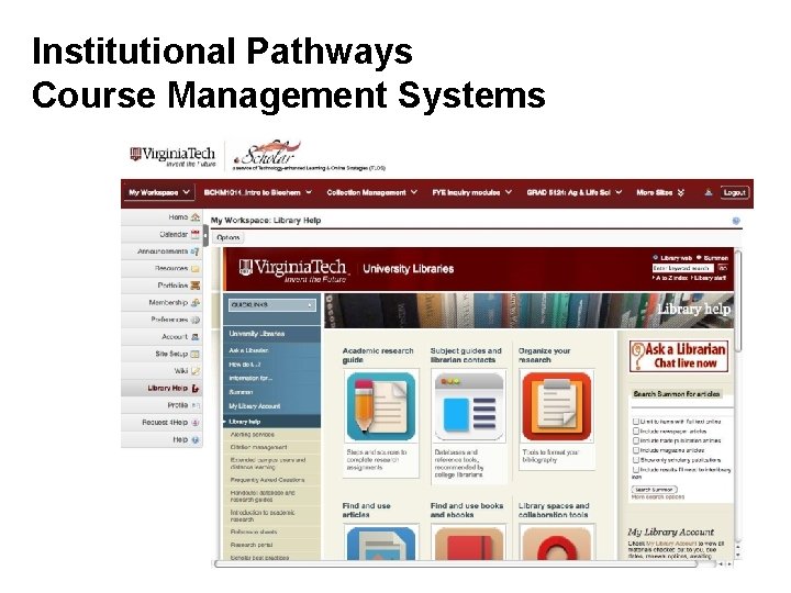 Institutional Pathways Course Management Systems 