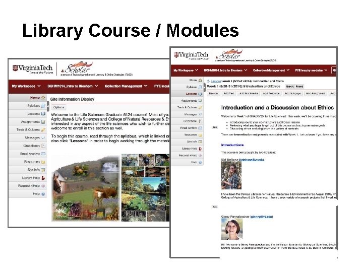 Library Course / Modules 