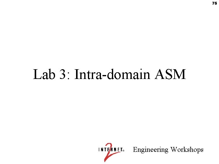 75 Lab 3: Intra-domain ASM Engineering Workshops 