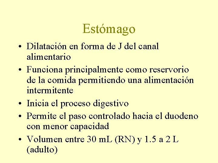 Estómago • Dilatación en forma de J del canal alimentario • Funciona principalmente como