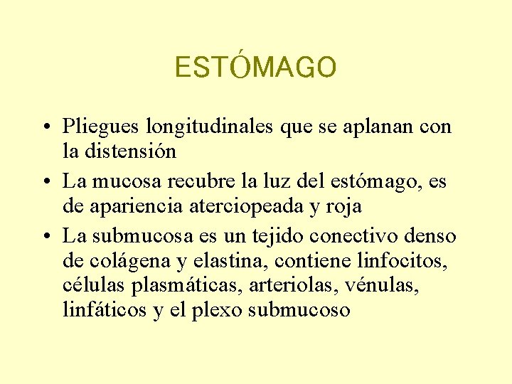 ESTÓMAGO • Pliegues longitudinales que se aplanan con la distensión • La mucosa recubre