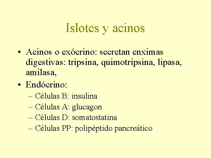 Islotes y acinos • Acinos o exócrino: secretan enximas digestivas: tripsina, quimotripsina, lipasa, amilasa,