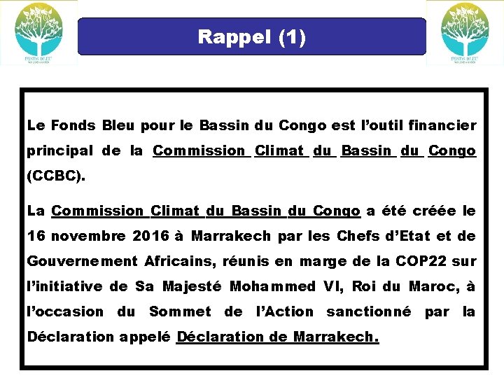 Rappel (1) Le Fonds Bleu pour le Bassin du Congo est l’outil financier principal