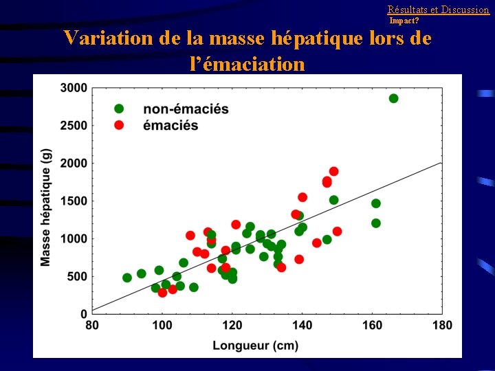 Résultats et Discussion Impact? Variation de la masse hépatique lors de l’émaciation 