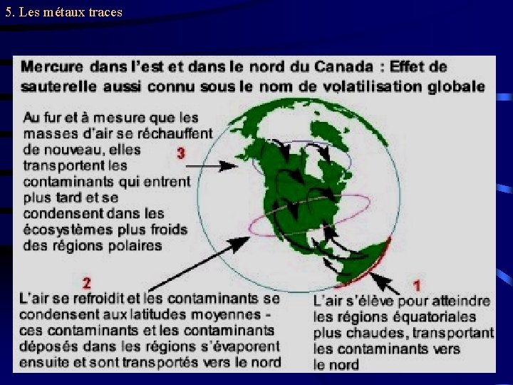 5. Les métaux traces 