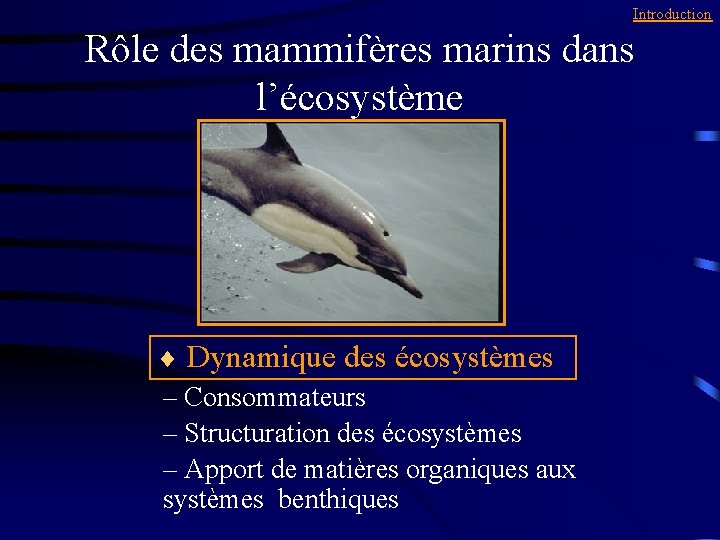 Introduction Rôle des mammifères marins dans l’écosystème ¨ Dynamique des écosystèmes – Consommateurs –