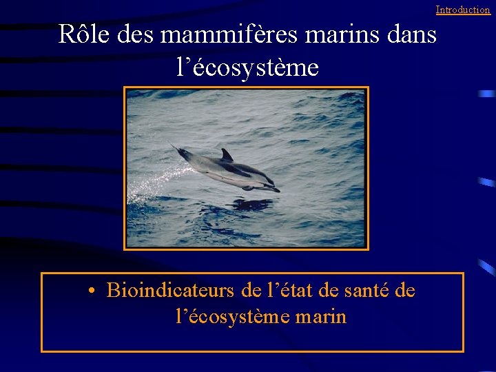 Introduction Rôle des mammifères marins dans l’écosystème • Bioindicateurs de l’état de santé de