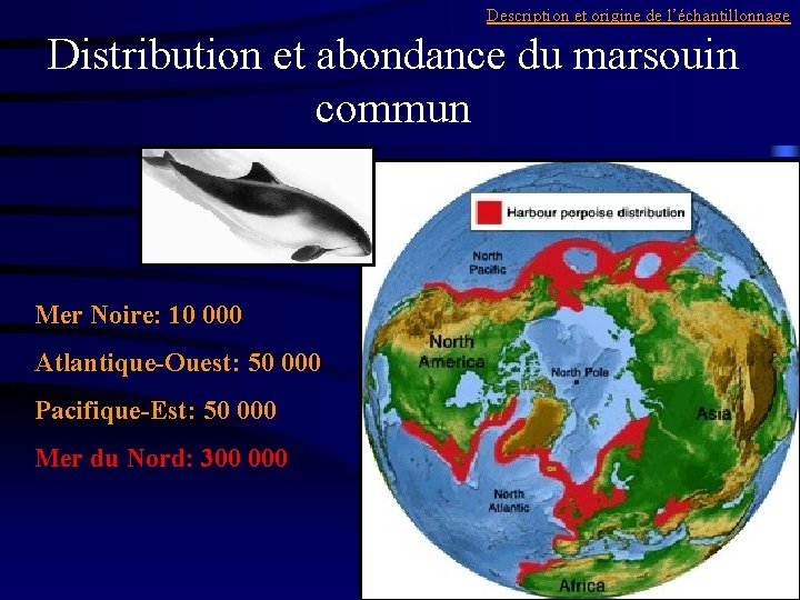 Description et origine de l’échantillonnage Distribution et abondance du marsouin commun Mer Noire: 10