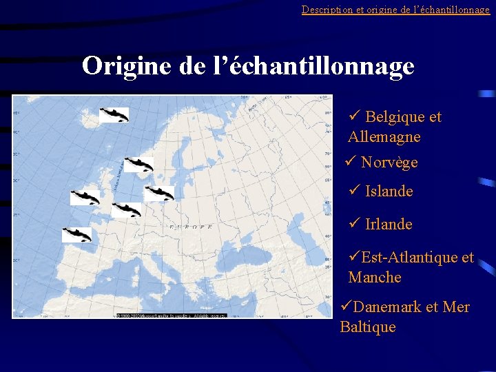 Description et origine de l’échantillonnage Origine de l’échantillonnage ü Belgique et Allemagne ü Norvège