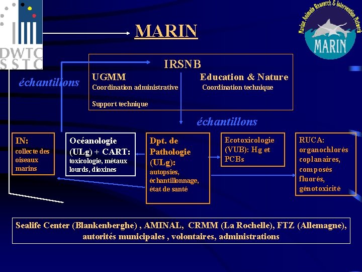 MARIN IRSNB échantillons UGMM Education & Nature Coordination administrative Coordination technique Support technique échantillons