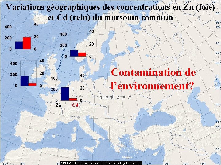 Variations géographiques des concentrations en Zn (foie) et Cd (rein) du marsouin commun Contamination