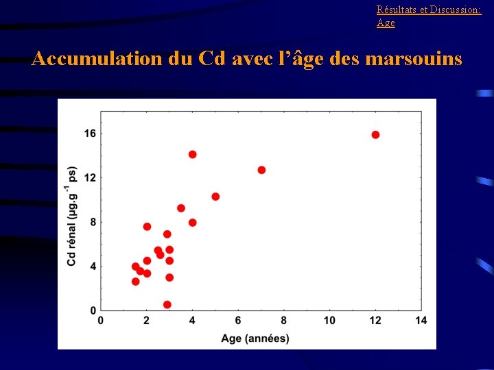 Résultats et Discussion: Age Accumulation du Cd avec l’âge des marsouins 
